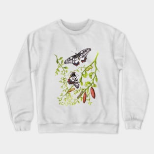 Dainty Swallowtail Butterfly Life Cycle on Native Lime - Dark Background Crewneck Sweatshirt